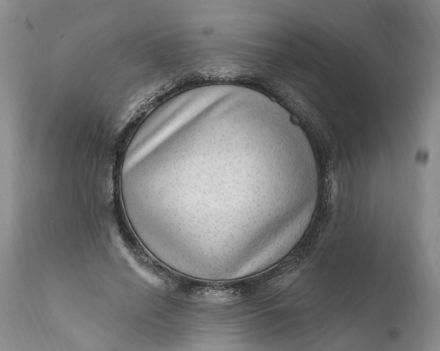 X0000111040638200907091610