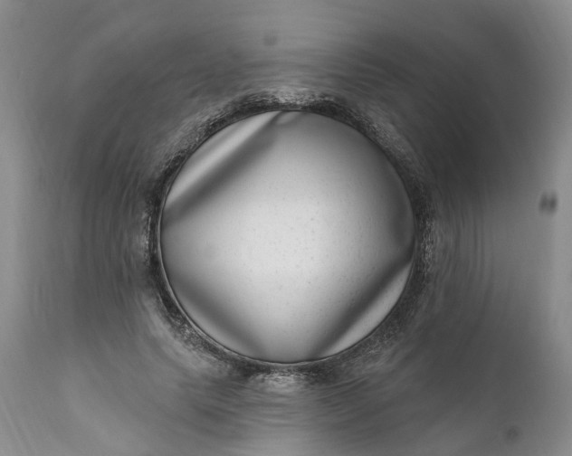 X0000111040639200907091610