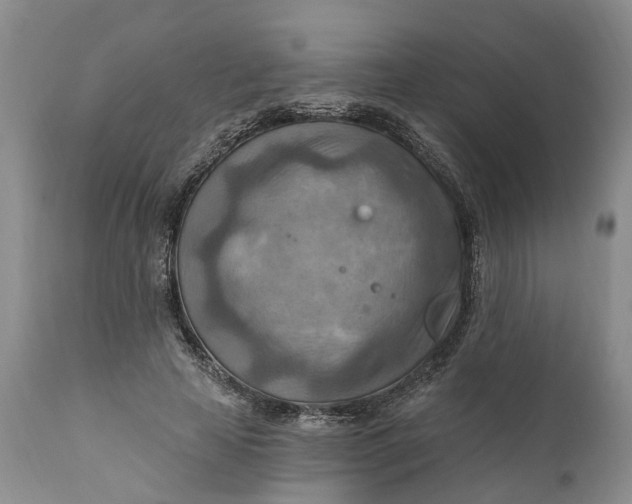 X0000111040641200907091610