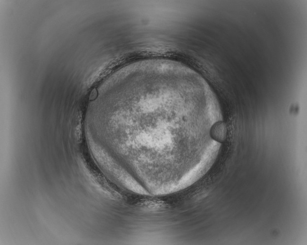 X0000111040642200907091610