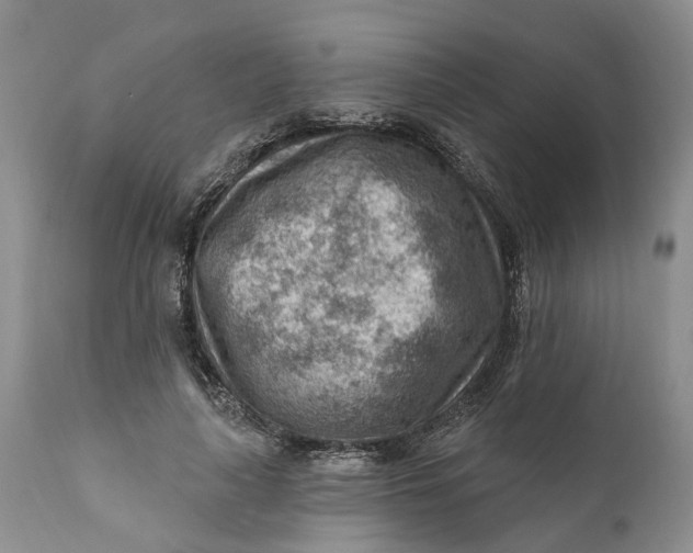 X0000111040643200907091610