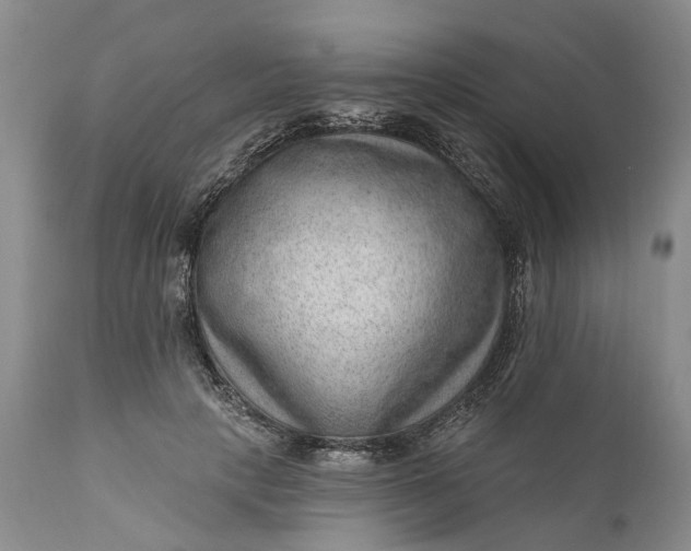 X0000111040649200907091611