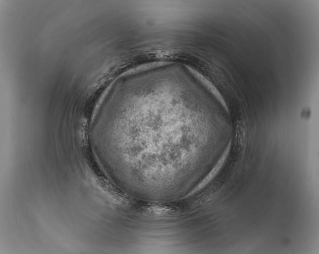 X0000111040650200907091611