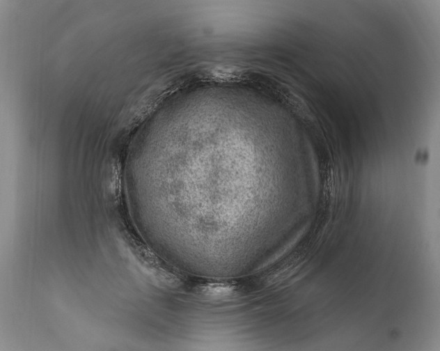 X0000111040651200907091611