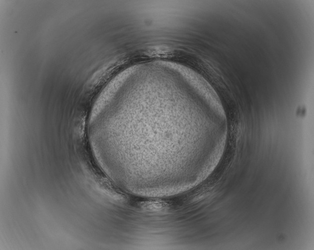 X0000111040652200907091611