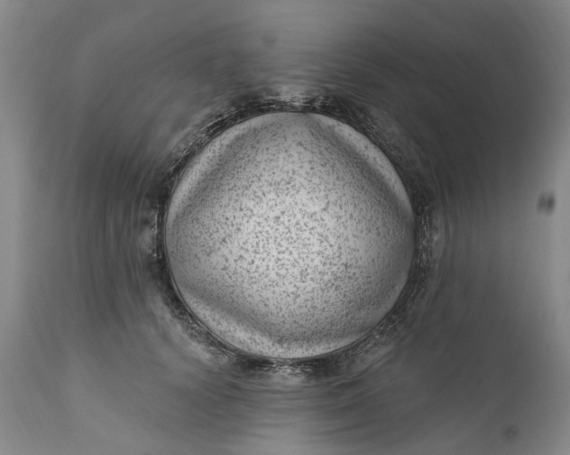 X0000111040656200907091611