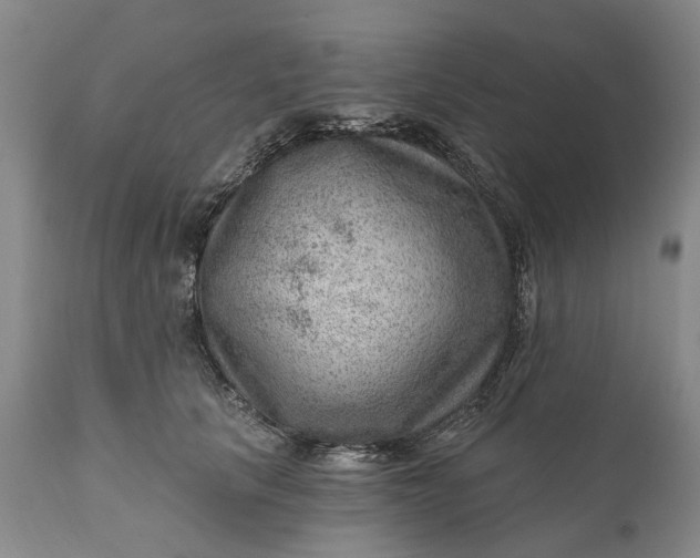 X0000111040657200907091611