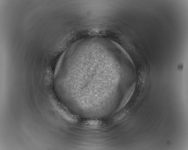 X0000111040659200907091611