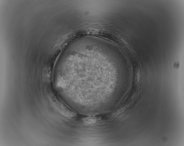 X0000111040661200907091611