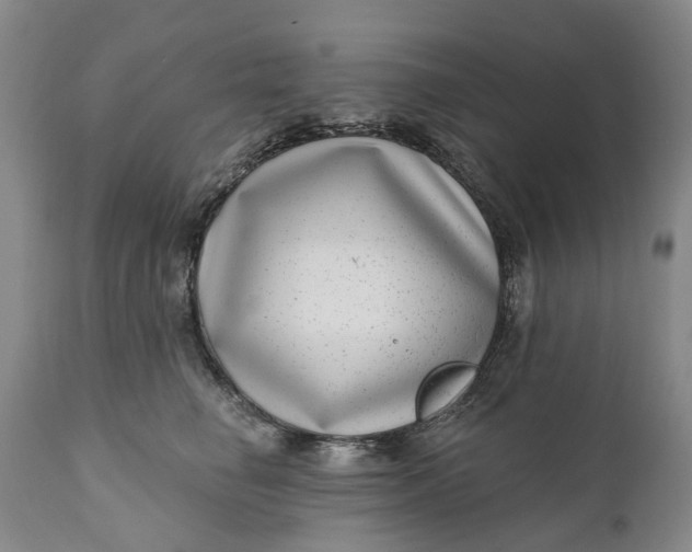 X0000111040662200907091611