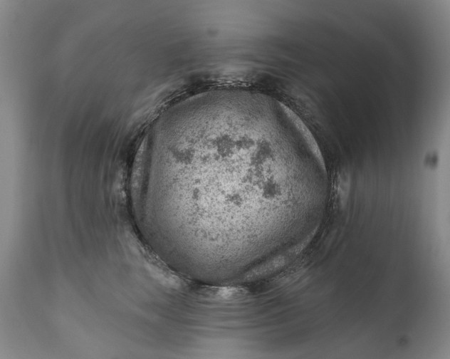 X0000111040663200907091611