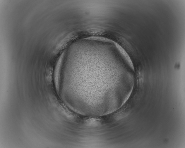 X0000111040664200907091611