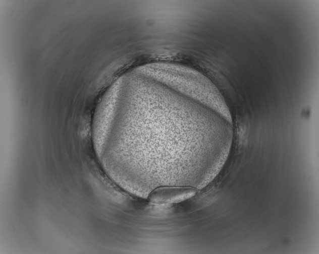 X0000111040665200907091611