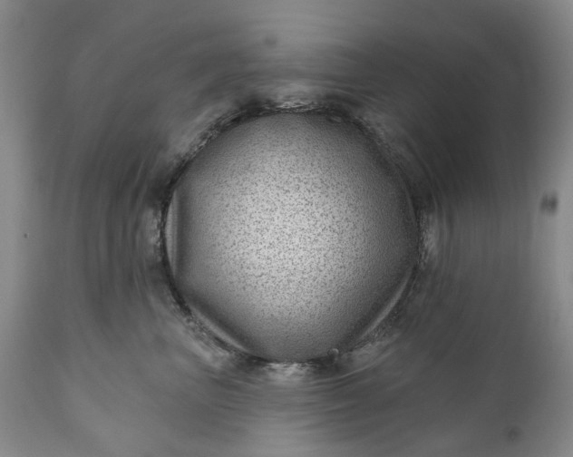 X0000111040667200907091611