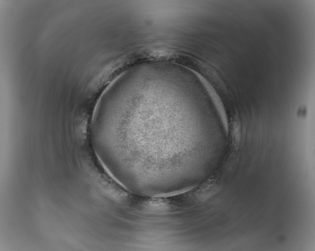 X0000111040668200907091611