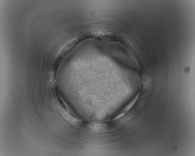 X0000111040670200907091611