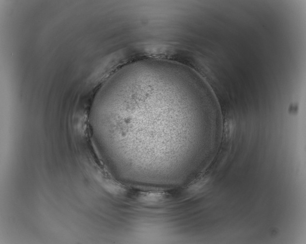 X0000111040671200907091611