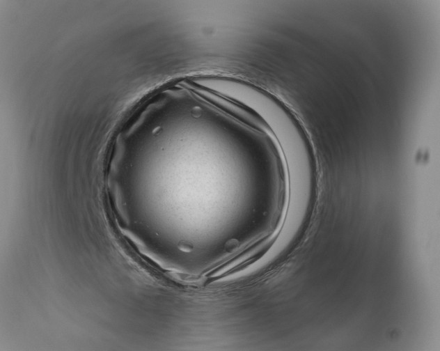 X0000111040673200907091610