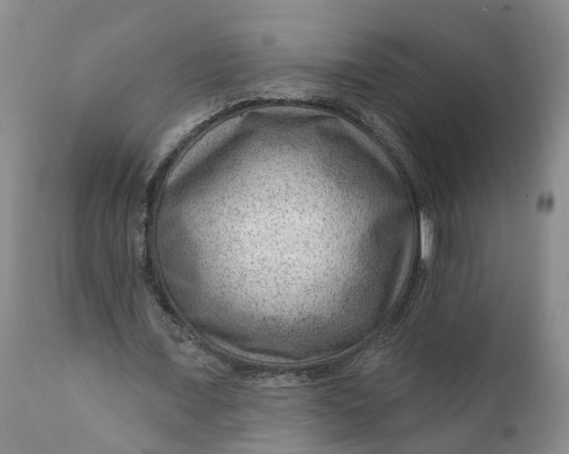 X0000111040675200907091610