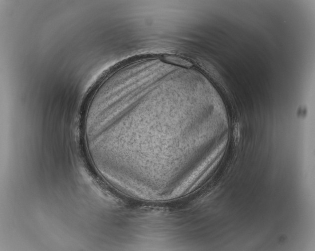 X0000111040676200907091610