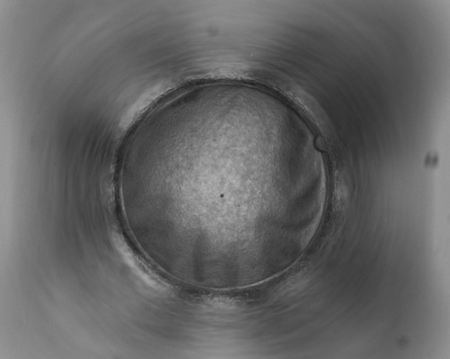 X0000111040677200907091610