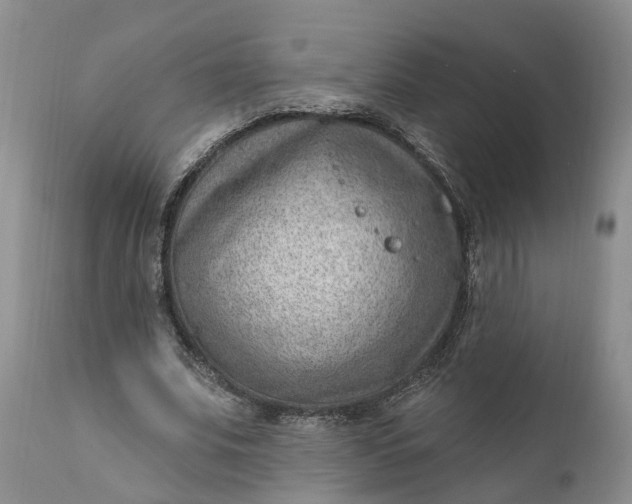 X0000111040679200907091610