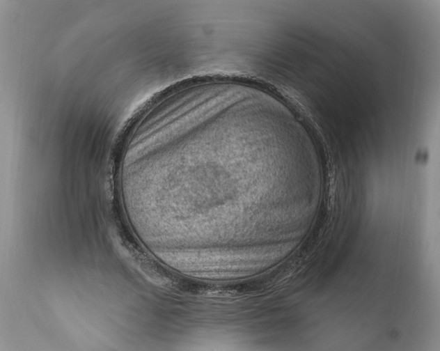 X0000111040680200907091610