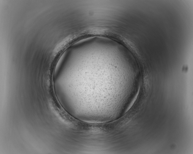 X0000111040682200907091610