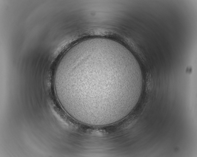 X0000111040683200907091610