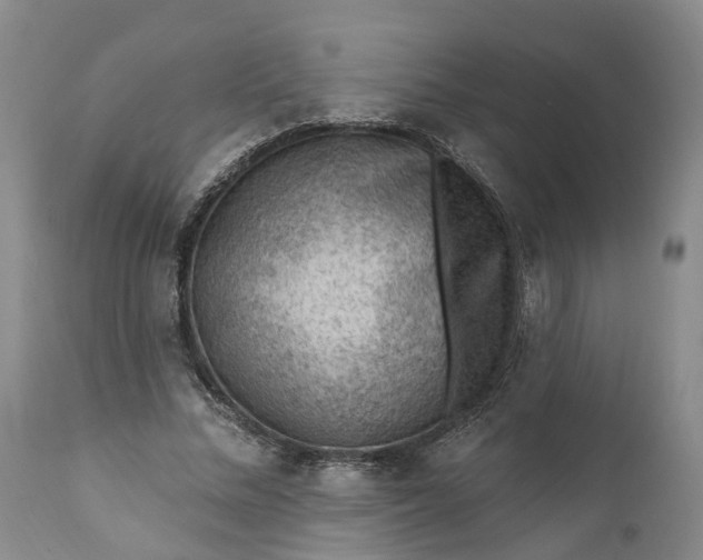 X0000111040684200907091610