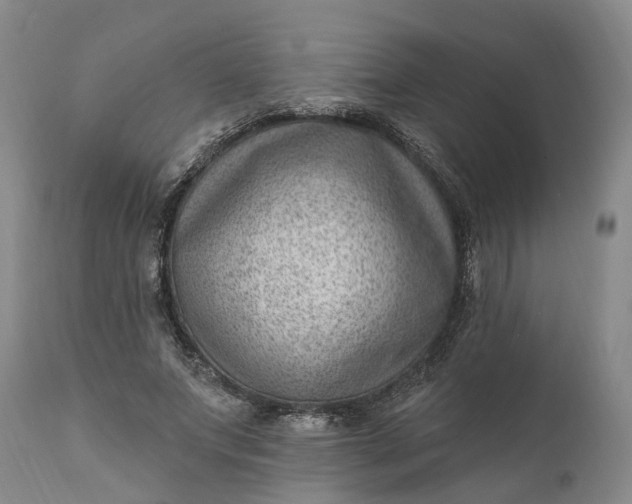 X0000111040687200907091610