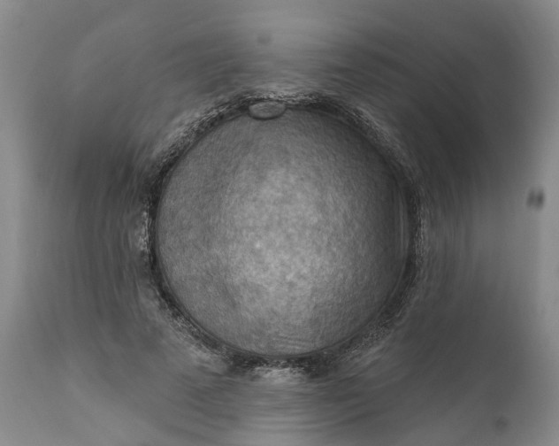 X0000111040689200907091610