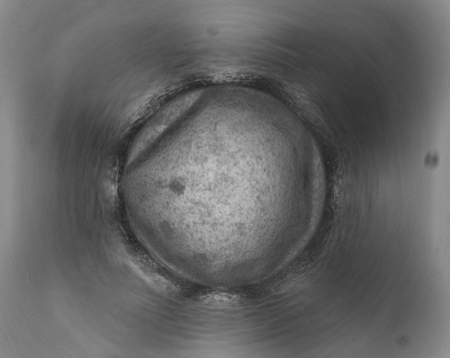 X0000111040691200907091610