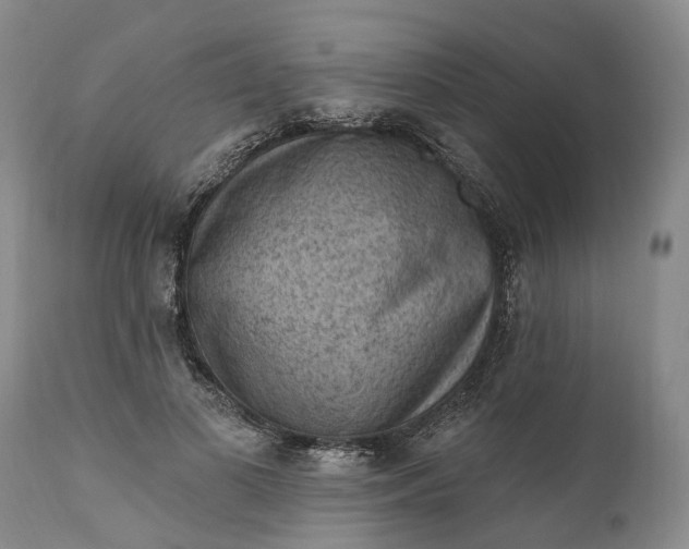 X0000111040693200907091610