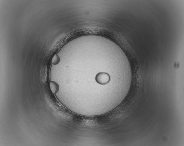 X0000111040694200907091610