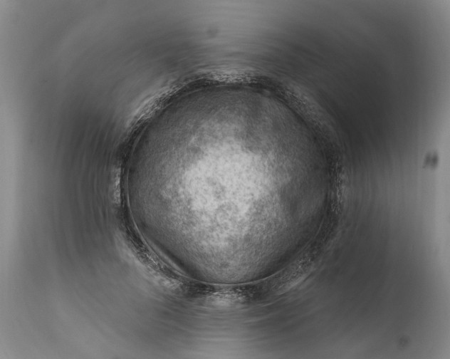 X0000111040696200907091610