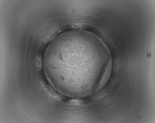 X0000111040699200907091610