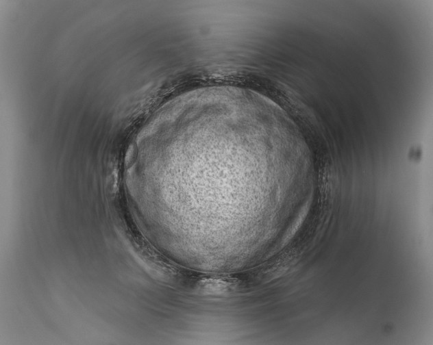 X0000111040703200907091610