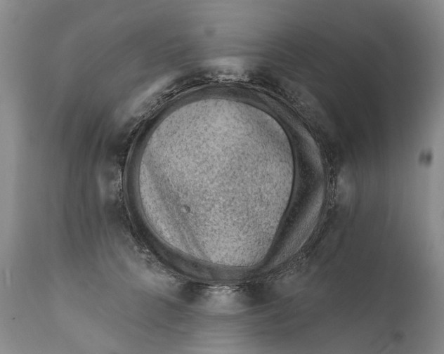 X0000111040704200907091610