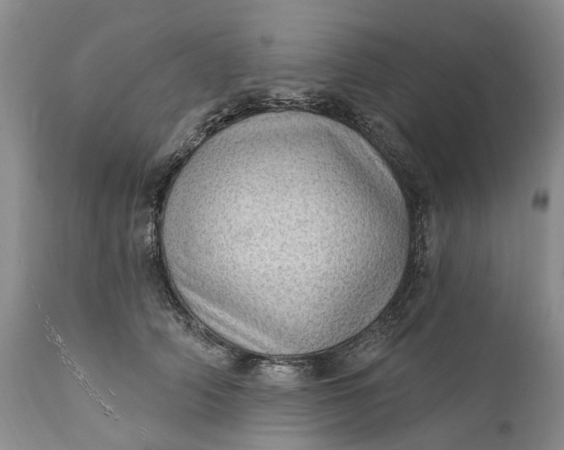 X0000111040706200907091610