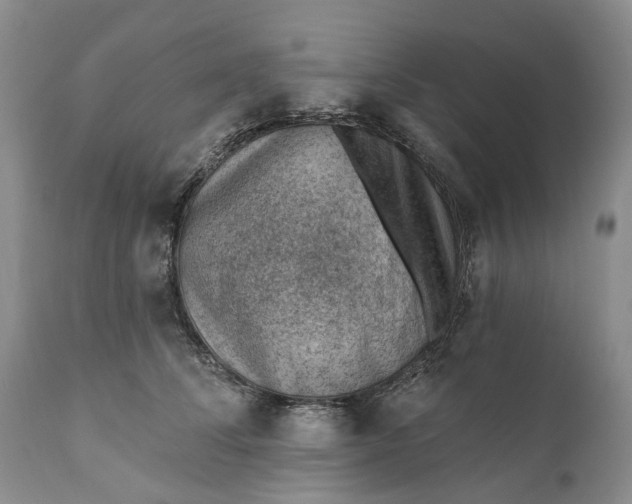 X0000111040708200907091610