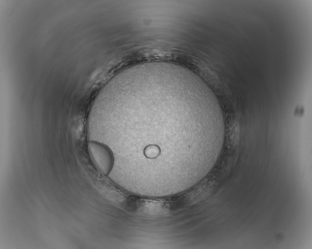 X0000111040709200907091610