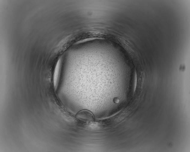 X0000111040710200907091609