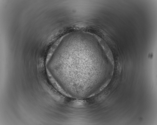 X0000111040711200907091609