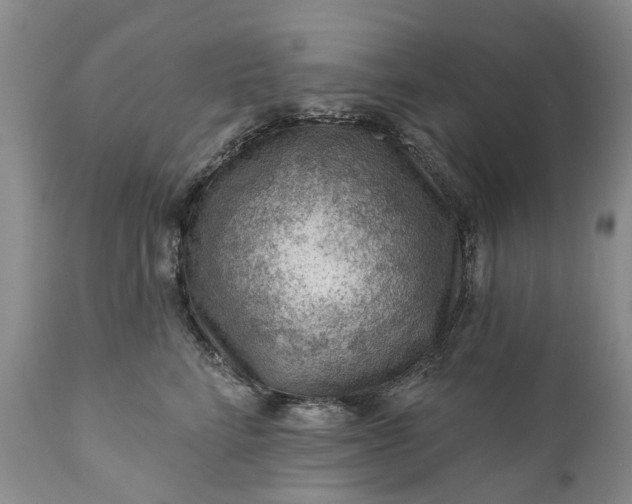 X0000111040712200907091609