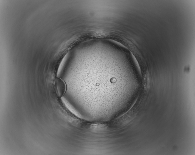 X0000111040714200907091609