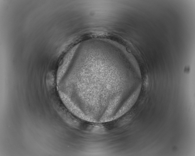 X0000111040715200907091609