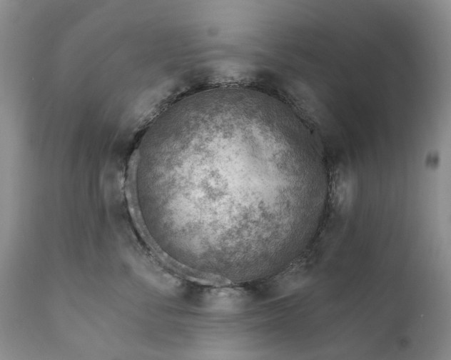 X0000111040716200907091609