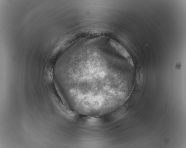 X0000111040718200907091609