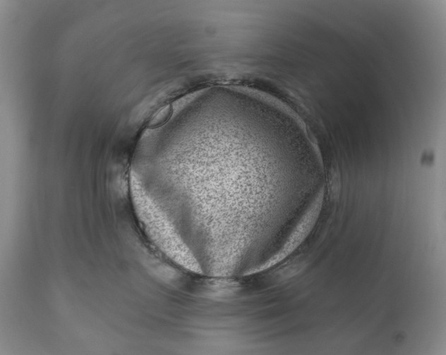 X0000111040719200907091609